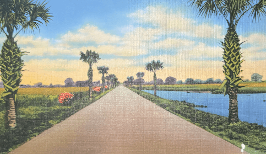 Historical postcard of Folly Beach road with palm trees