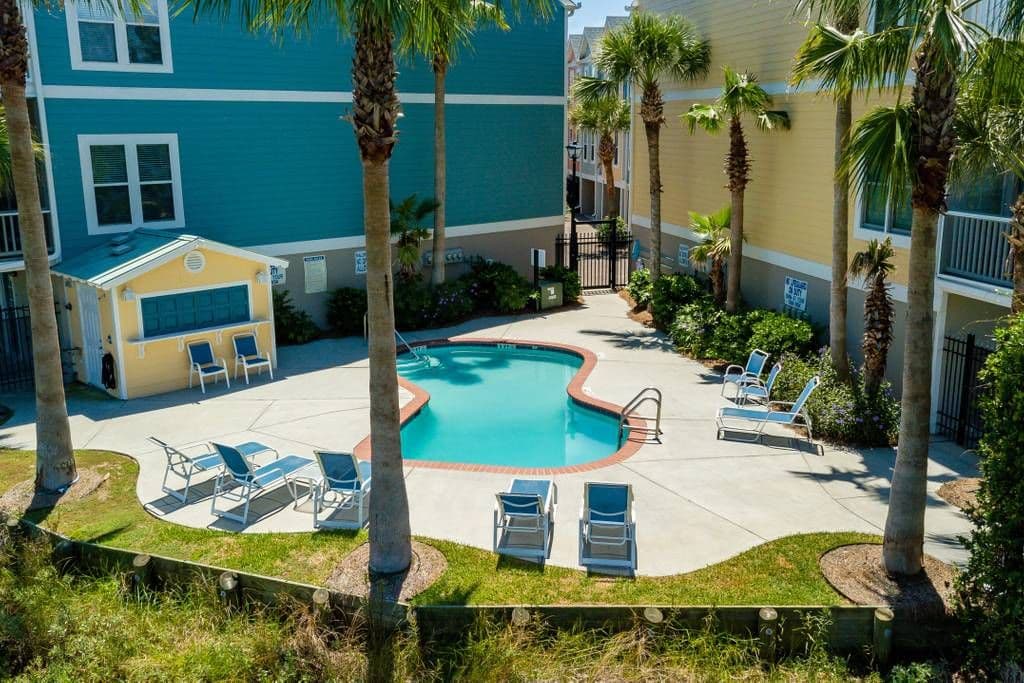 Community pool with palm trees