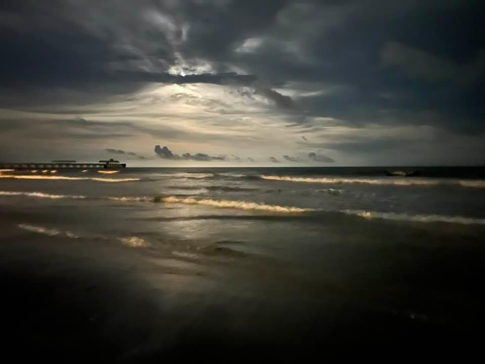 Walking the beach at Folly Beach SC