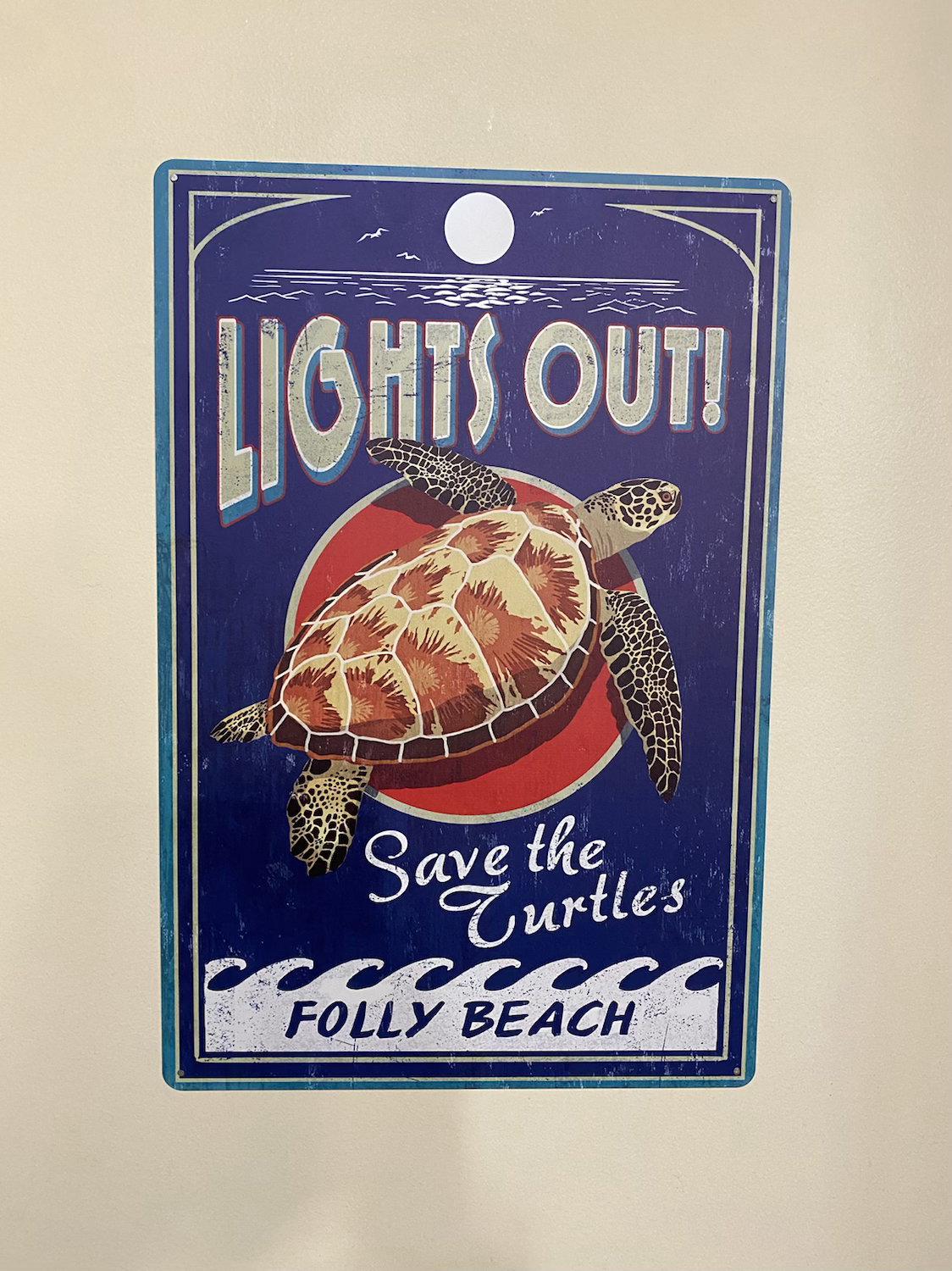 Decorative turtle at 16 Turtle Bay