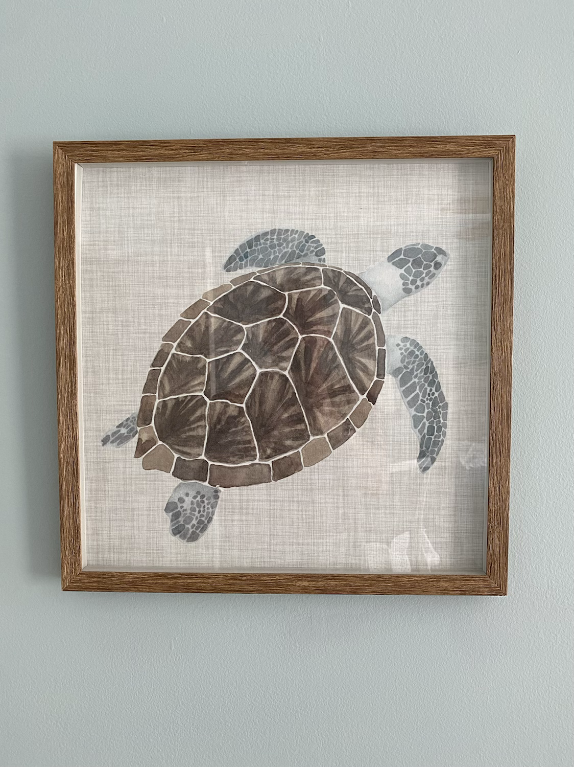 Decorative turtle at 16 Turtle Bay