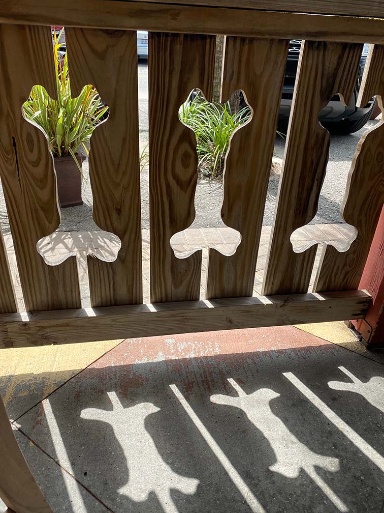 Lost Dog Cafe on Folly Beach